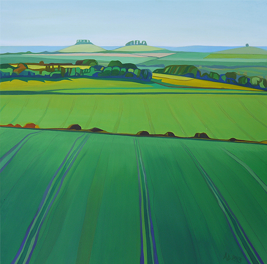 View from Aston Downs